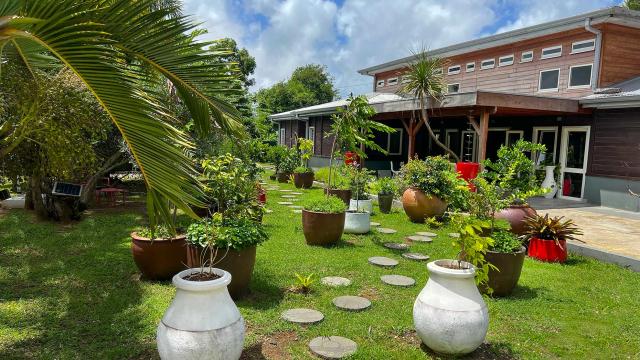 Jardin Ysnay Lamentin Martinique