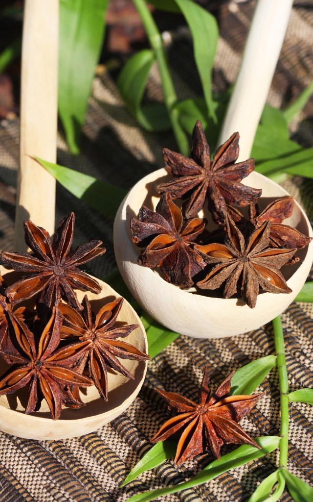 Badiane Anis étoilé Épice Martinique