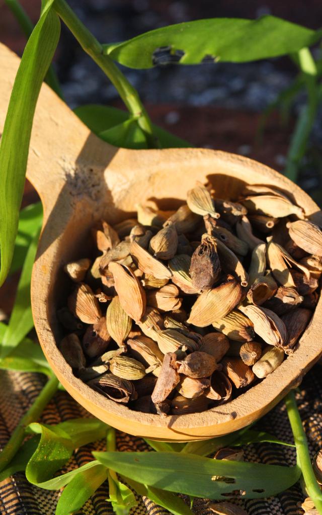 Cardamome Épice Martinique