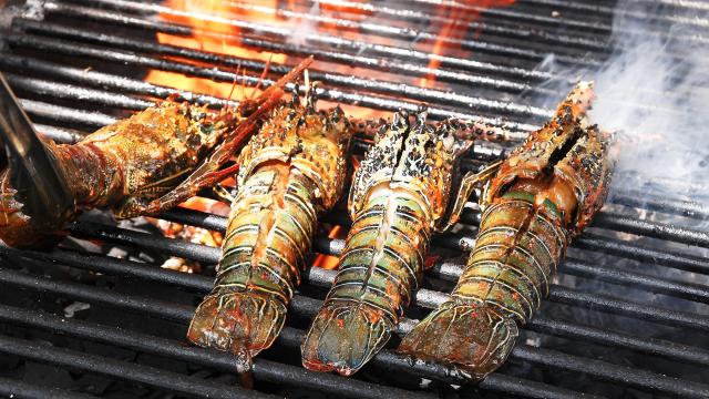 Langoustes grillées Recette Martinique