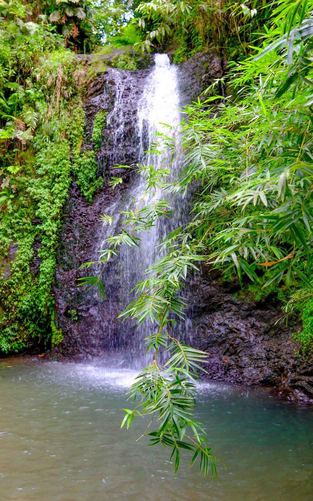 Sautgendarme waterfall Martinique