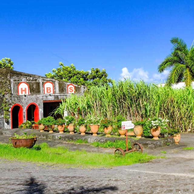 Distillerie HBS Habitation Beauséjour Grand rivière Martinique