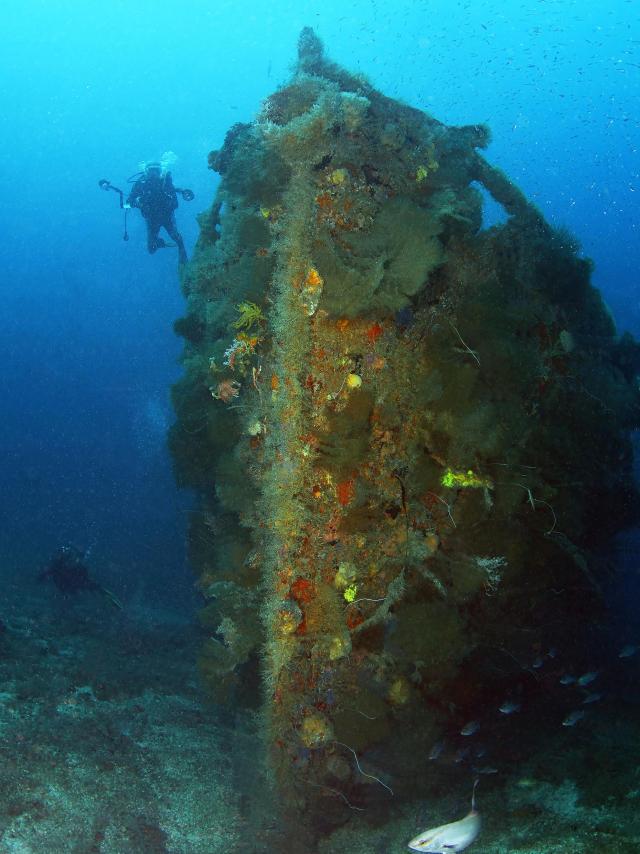 Épave du Nahoon Plongée Martinique