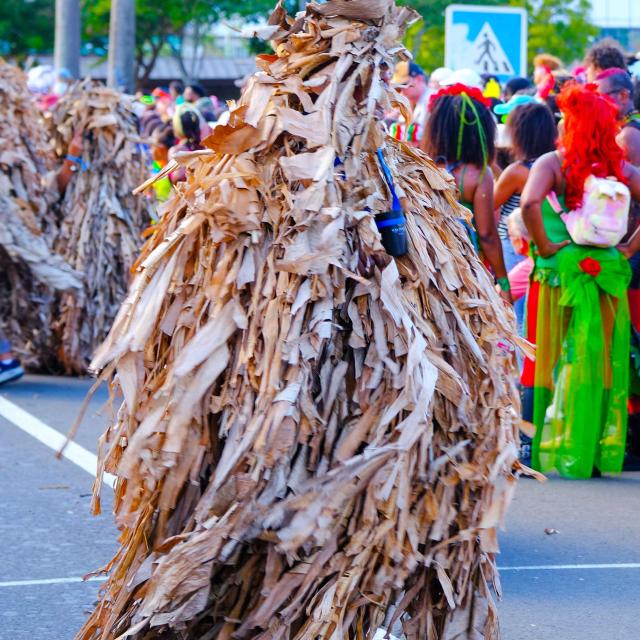 Marian' lapo fig Carnaval Martinique