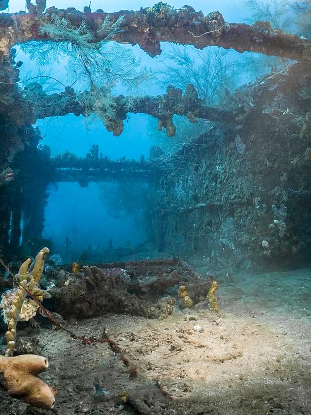 Épave Roraima Saint-Pierre Plongée Martinique