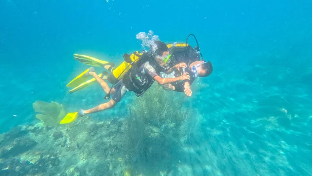 Baptême Club de plongée A Papa D'lo Saint-Pierre Martinique