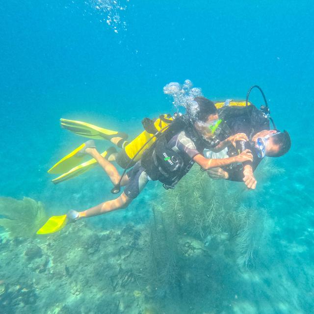 Baptême Club de plongée A Papa D'lo Saint-Pierre Martinique