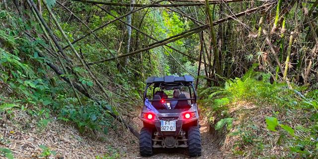 Rando Buggy Martinique buggy Trial caraïbe Basse-Pointe Martinique