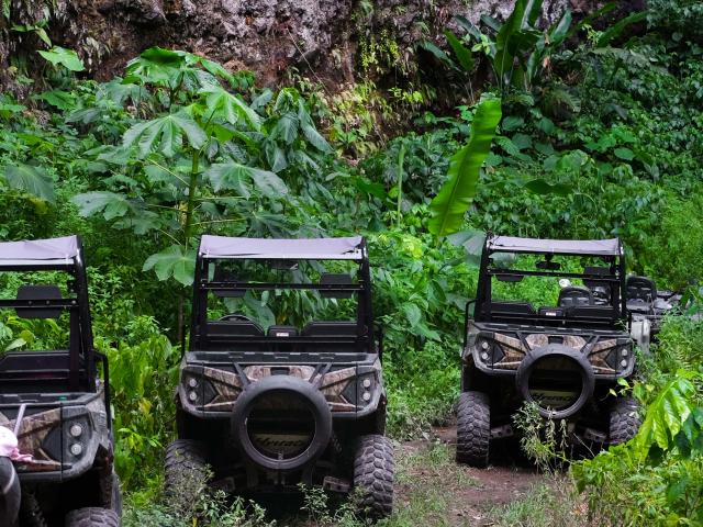 Rando Buggy Martinique buggy Trial caraïbe Basse-Pointe Martinique