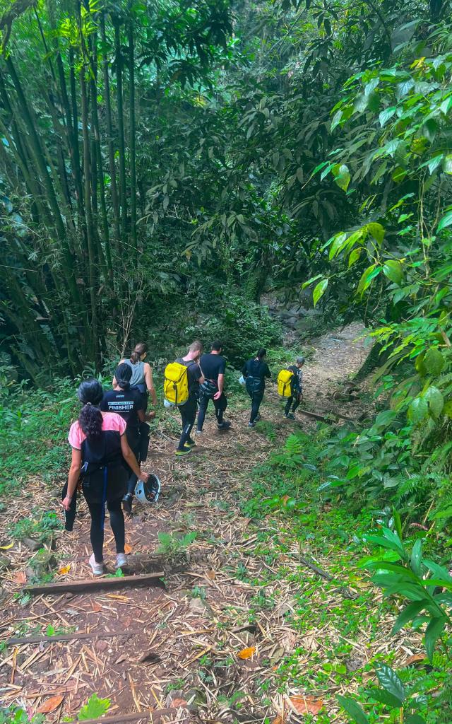 Forêt Rivière Absalon Bureau de la randonnée et du canyoning Fort-de-France Martinique