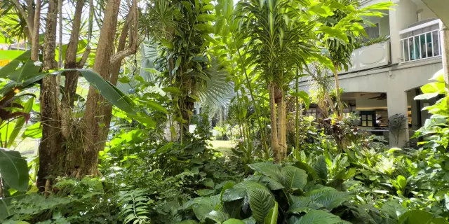 Jardin Hôtel La Pagerie Tropical garden hôtel Les Trois-îlets Martinique