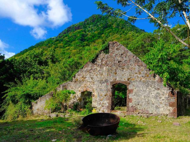 Ruine Habitation Crève cœur Sainte-Anne Martinique