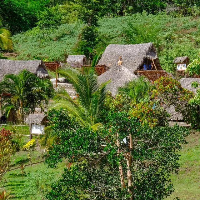 La Savane des Esclaves Les Trois-îlets Martinique