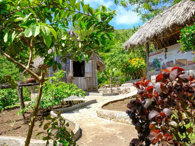 La Savane des Esclaves Les Trois-îlets Martinique