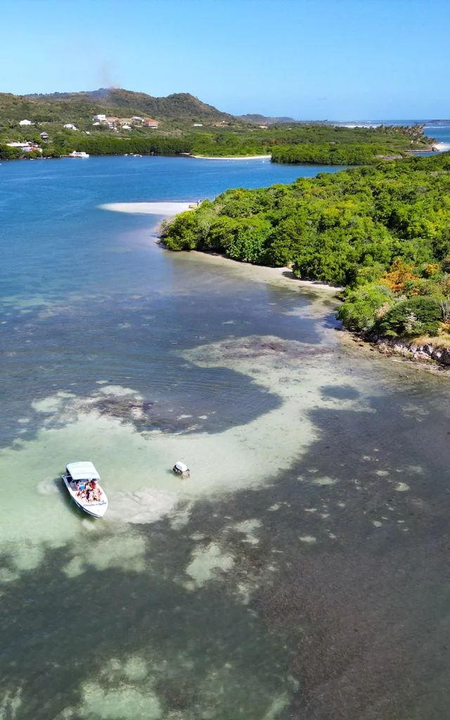 Bébêche Fond blanc de l'ilet Chevalier Sainte-Anne Martinique