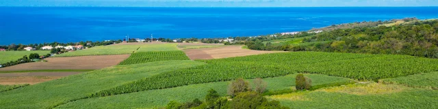 Château Depaz Distillerie Depaz Habitation La Montagne Saint-Pierre Martinique