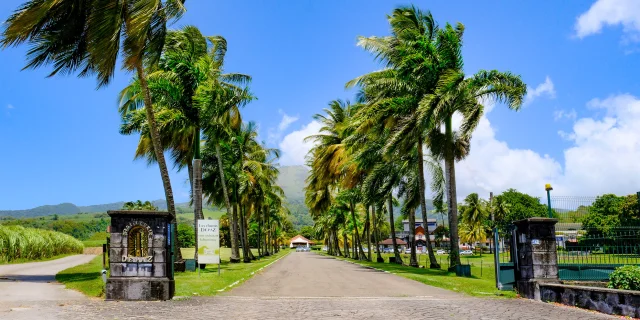 Distillerie Depaz Habitation La Montagne Saint-Pierre Martinique