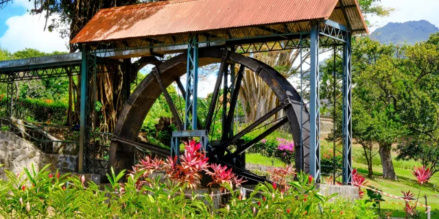 Distillerie Depaz Habitation La Montagne Saint-Pierre Martinique