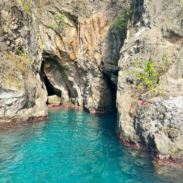 Grotte aux chauve-souris Trois-îlets Martinique