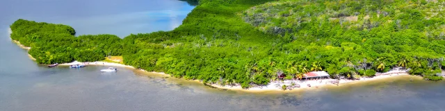 Mangrove Plage de la Bébêche bikini beach Sainte-Anne Martinique