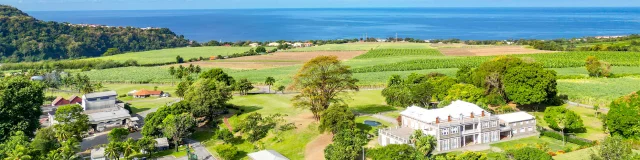 Mer des Caraïbes Restaurant Le Moulin à canne Distillerie Depaz Saint-Pierre Martinique