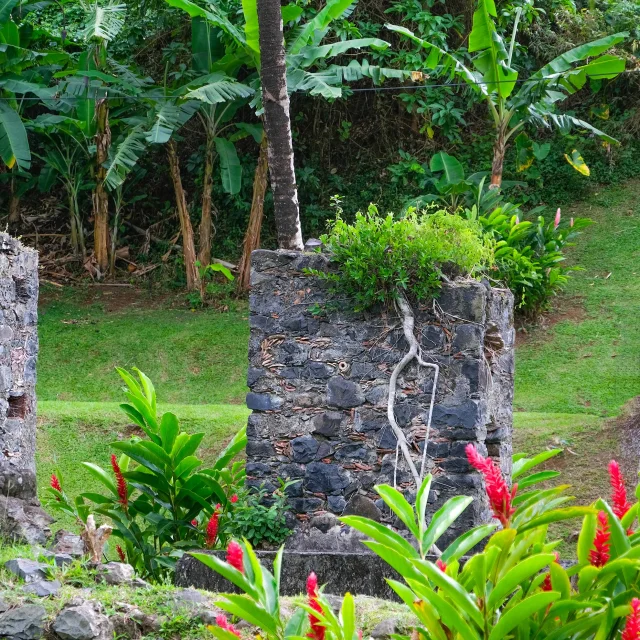 Musée de la banane Sainte-Marie Martinique