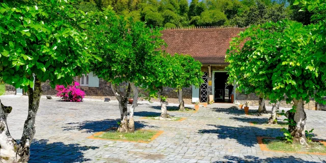 Musée de la banane Sainte-Marie Martinique