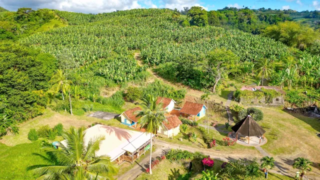 Musée de la banane Sainte-Marie Martinique