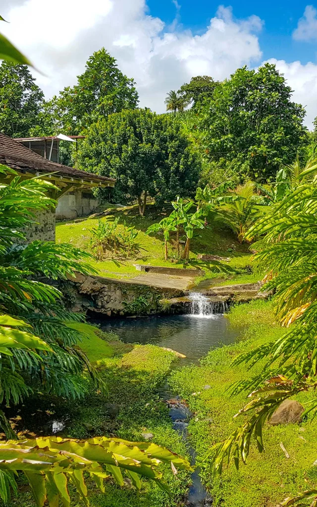 Musée de la banane Sainte-Marie Martinique