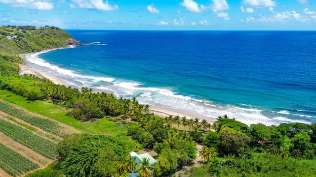 Plage de l'anse Charpentier Sainte-Marie Martinique