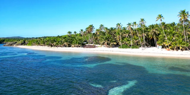 Plage de l'Anse Michel Cap Chevalier Sainte-Anne Martinique