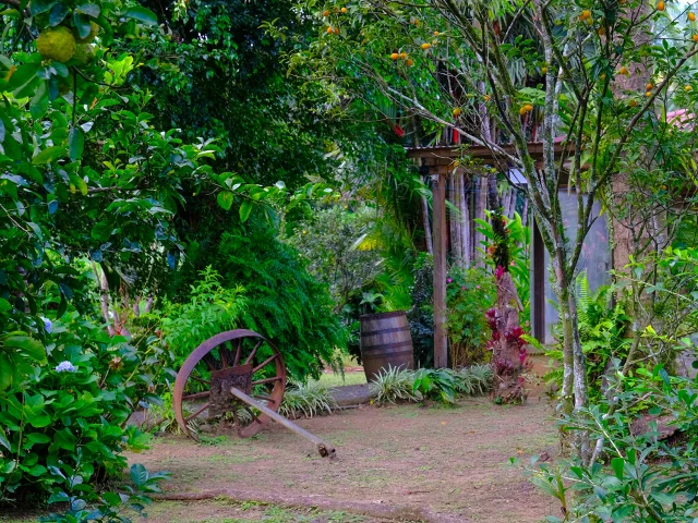 Restaurant La Chaudière Morne-Rouge Martinique