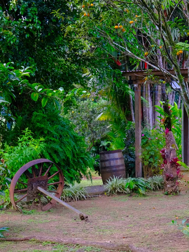 Restaurant La Chaudière Morne-Rouge Martinique