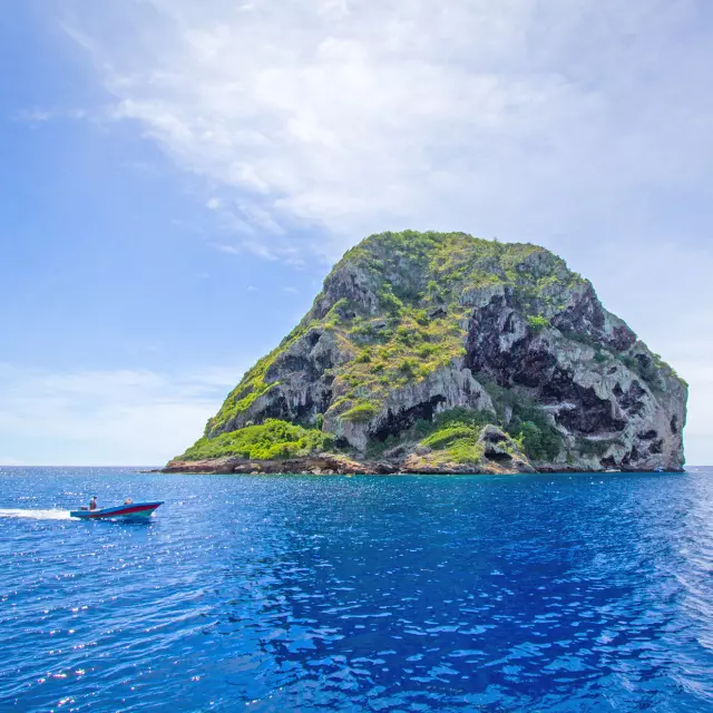 Rocher du Diamant Martinique