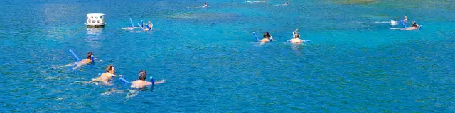 Snorkeling Sentier Lakay Les Anses d'Arlet Martinique