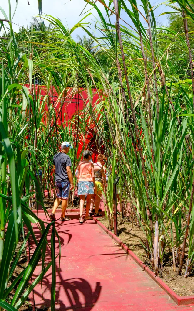 Jardin Distilleriejm Distilleriefondpreville Macouba Martinique