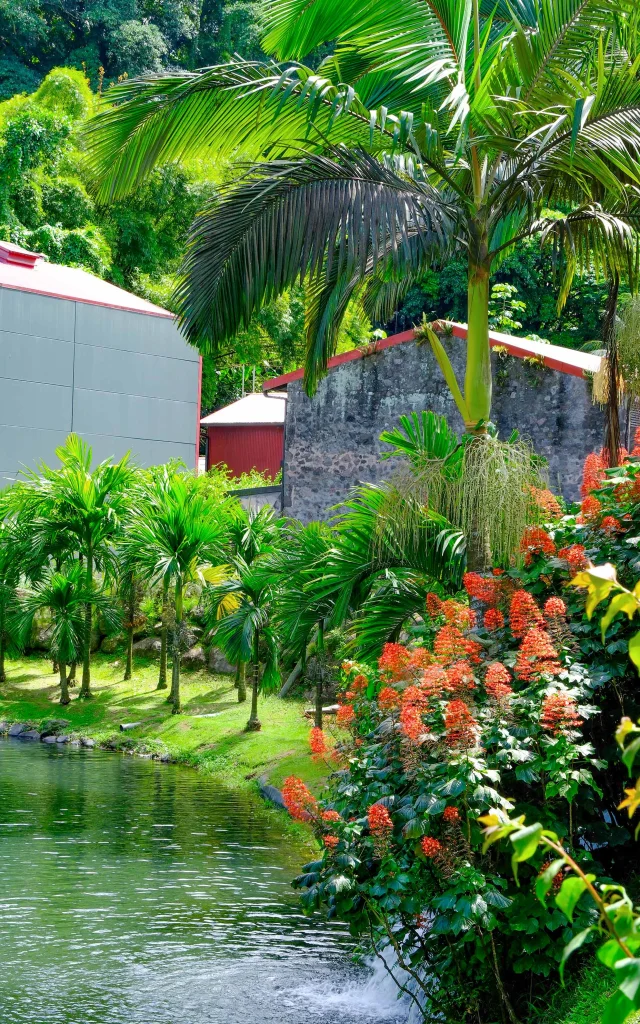 Jardin6 Distilleriejm Distilleriefondpreville Macouba Martinique