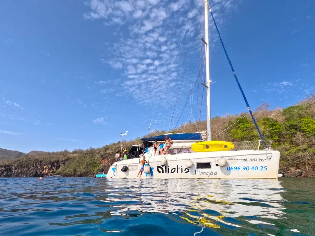 Catamaran Aliotis Les Anses d'Arlet Martinique