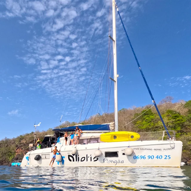 Catamaran Aliotis Les Anses d'Arlet Martinique