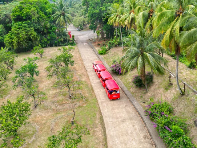 Distillerie La Mauny Visite en petit train Rivière-Pilote Martinique