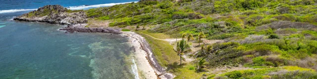 Ilet Chevalier Sainte-Anne Martinique