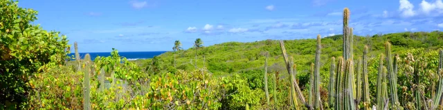 Ilet Chevalier Sainte-Anne Martinique