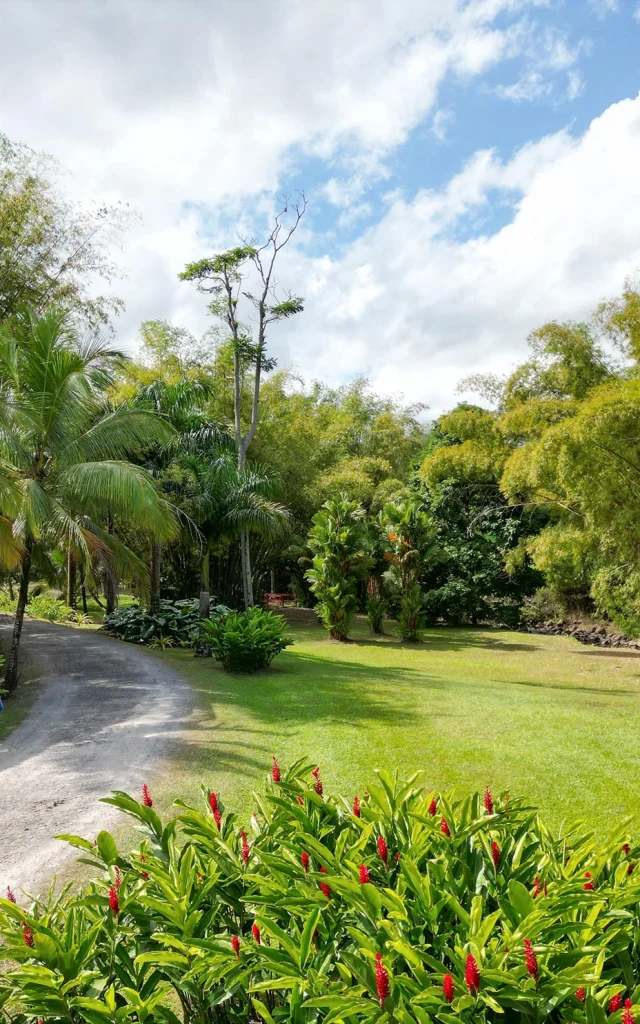 Jardin remarquable Habitation Saint-Etienne Gros-Morne Martinique