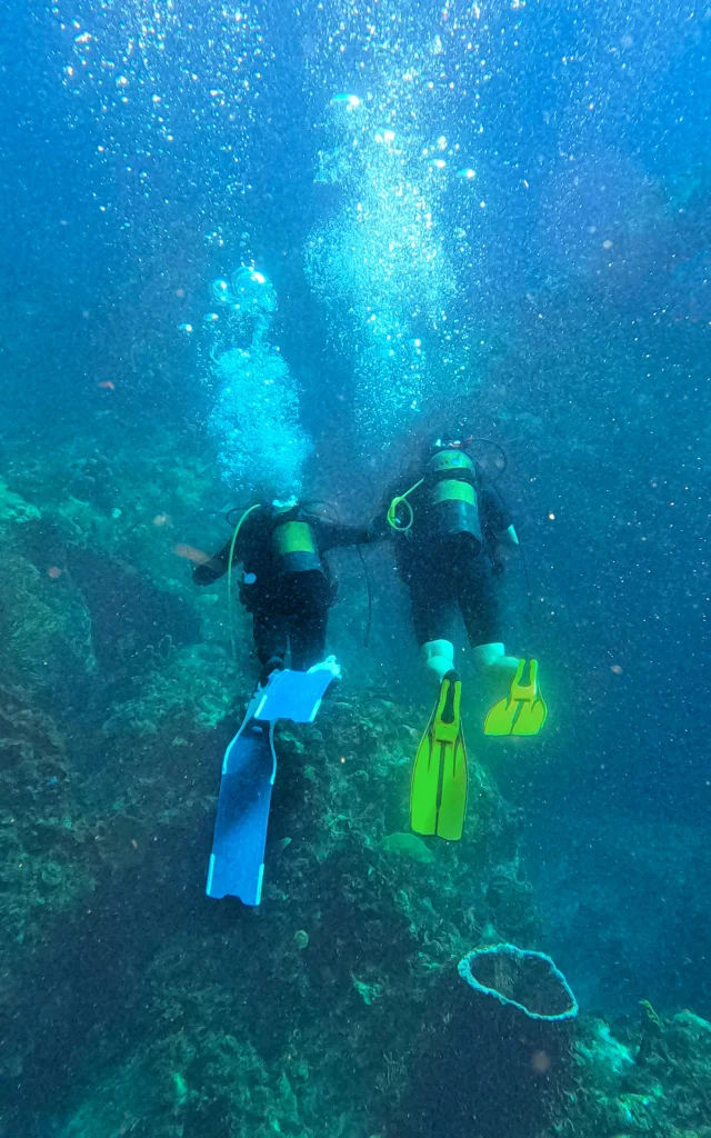 Plongée Aliotis Les Anses d'Arlet Martinique