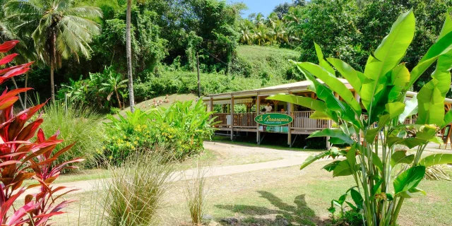 Restaurant La Bananeraie Musée de la banane Sainte-Marie Martinique