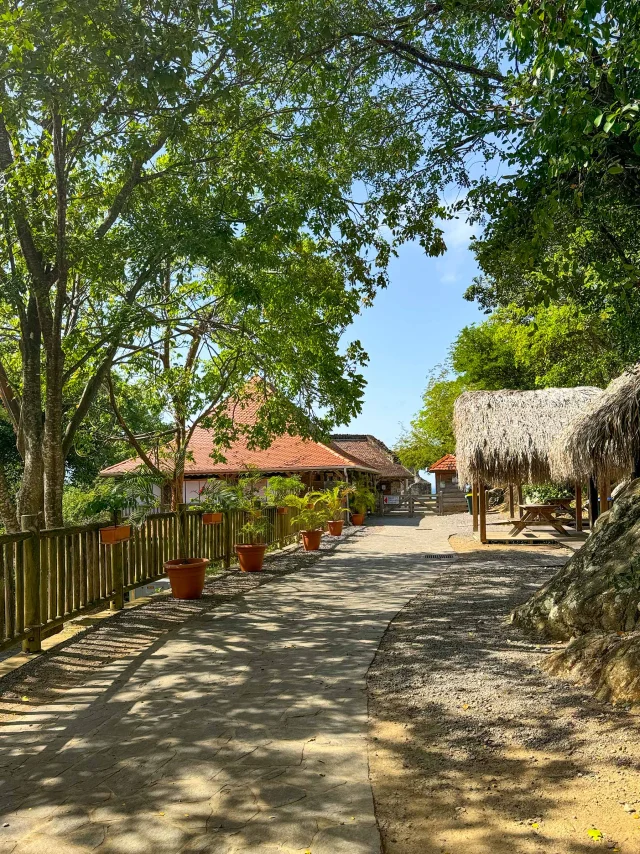 Château Dubuc Tartane Trinité Martinique