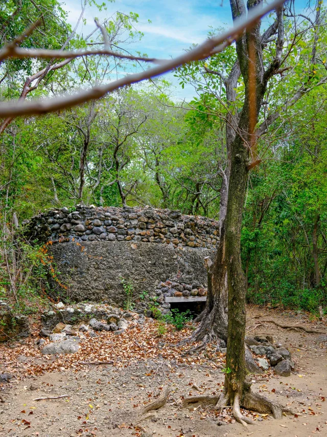 Château Dubuc Tartane Trinité Martinique