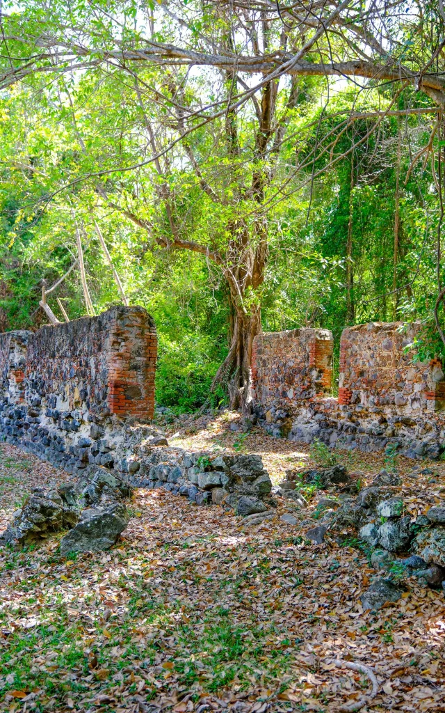 Château Dubuc Tartane Trinité Martinique