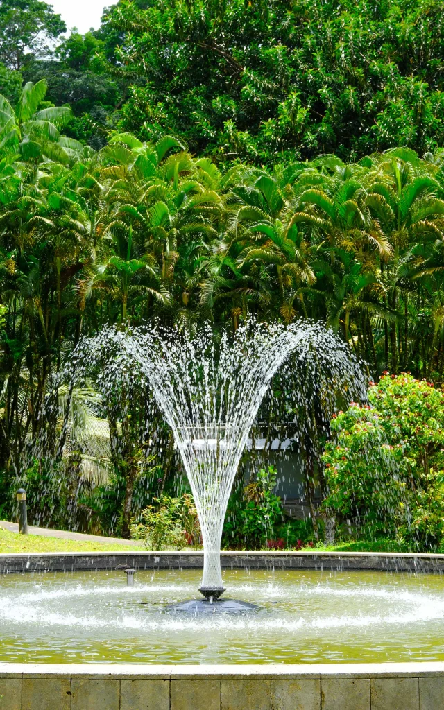 Fontaine Jardin Domaine d'Emeraude Morne-Rouge Martinique