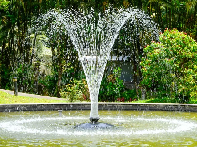 Fontaine Jardin Domaine d'Emeraude Morne-Rouge Martinique